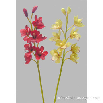 25&quot;Mini Cymbidium Orchid